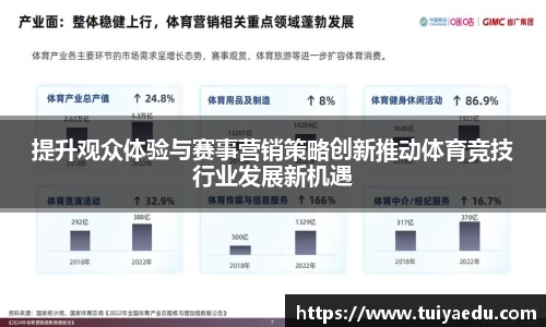 提升观众体验与赛事营销策略创新推动体育竞技行业发展新机遇