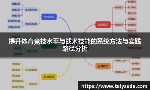 提升体育竞技水平与战术技能的系统方法与实践路径分析